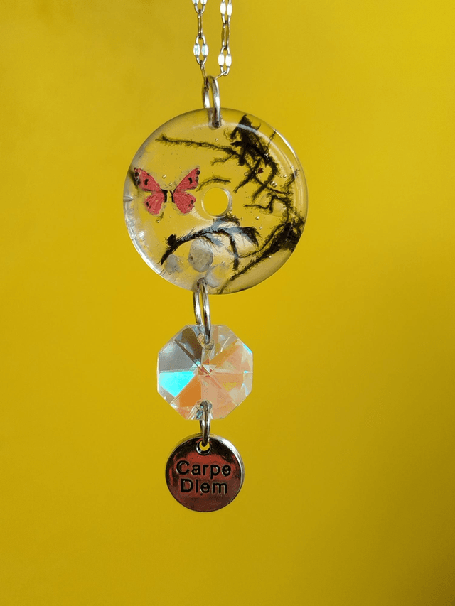 Carpe Diem – Lumière et Nature en suspens