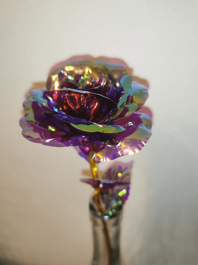Rose éternelle colorée 