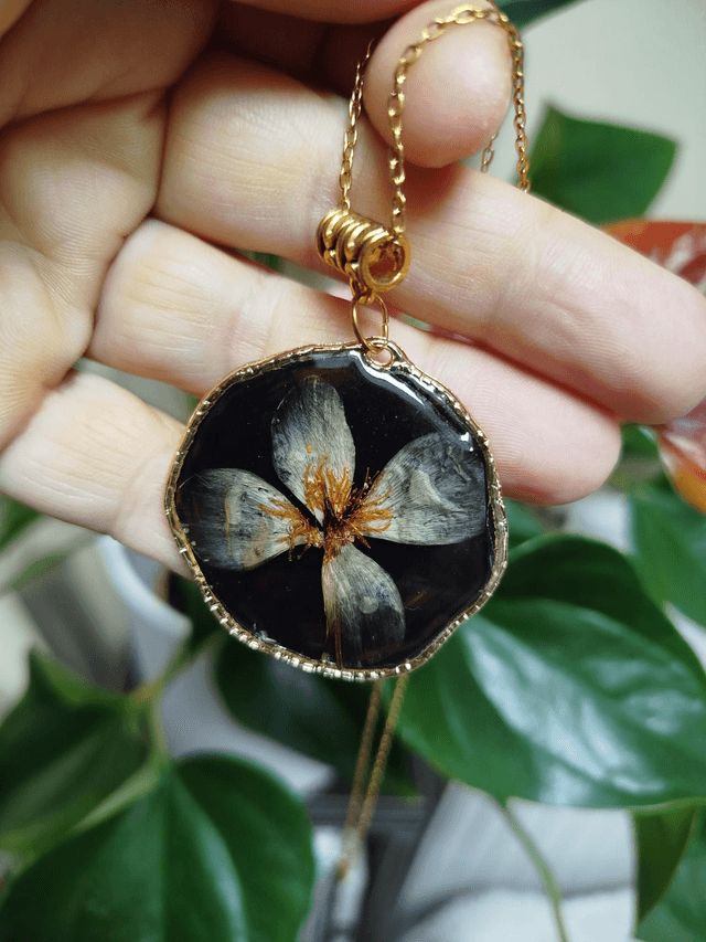 Soleil Noir